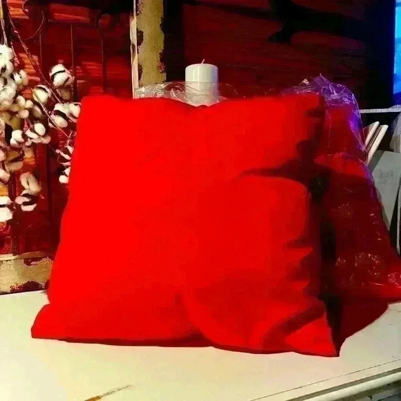 NWT TWO Outdoor Throw Pillows - Picture 5 of 5